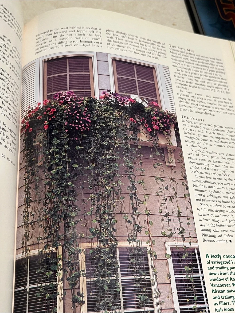 Sunset Western Garden annual 1997 edition